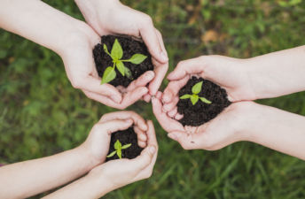 Desde Brillante estamos comprometidos con el cuidado del medioambiente