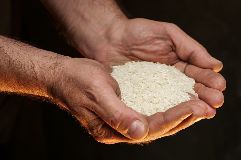 ¿Cuántas calorías tiene al arroz blanco?