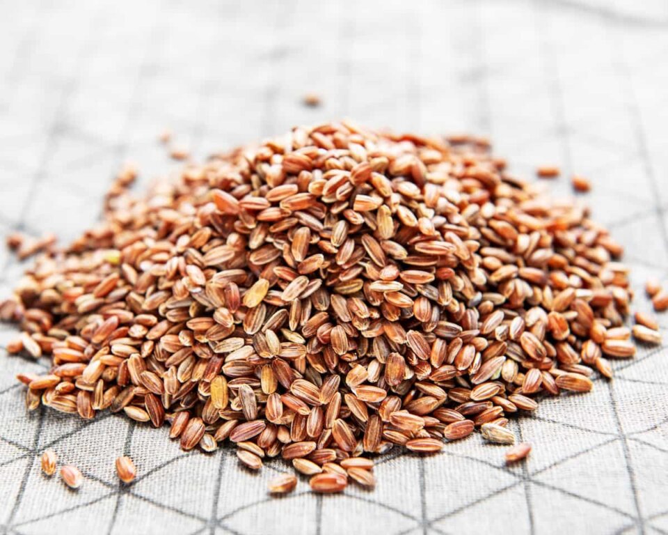 ¿El arroz integral engorda?: verdades y mitos