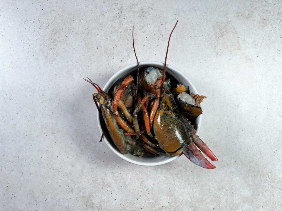 Paso a paso del arroz con bogavante prepara el bogavante