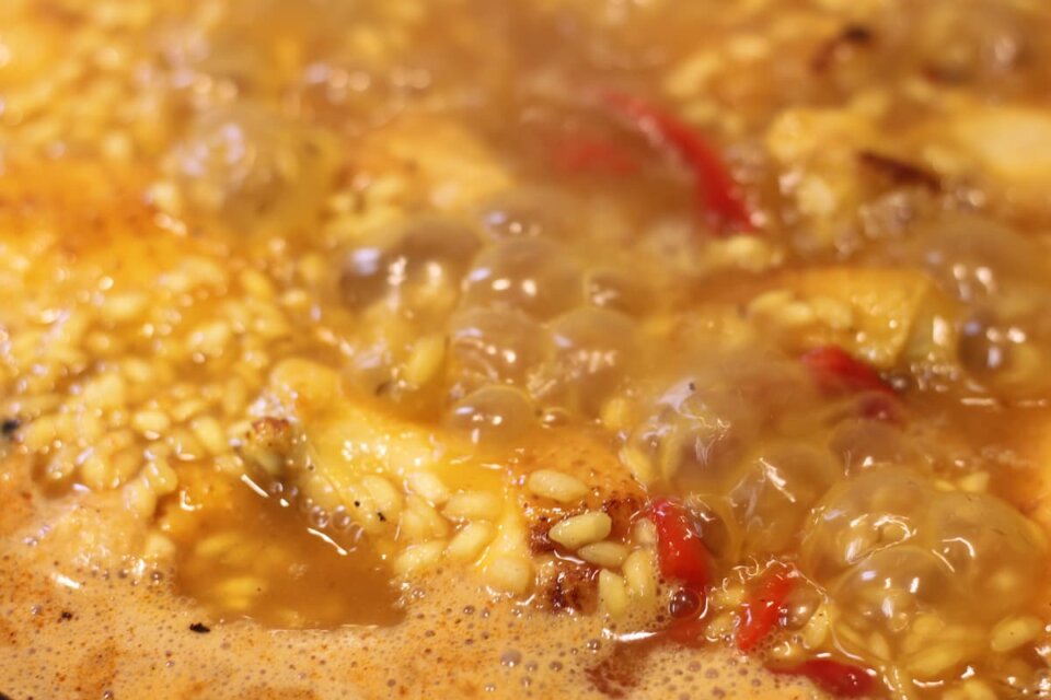 Proporción de arroz y agua para hacer paella – Consejos y trucos