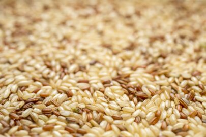 Arroz integral: ¿Tiene contraindicaciones? Descubre todo lo que necesitas saber