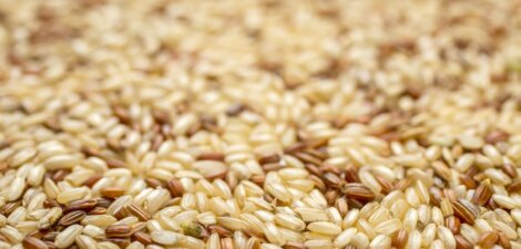 Arroz integral: ¿Tiene contraindicaciones? Descubre todo lo que necesitas saber