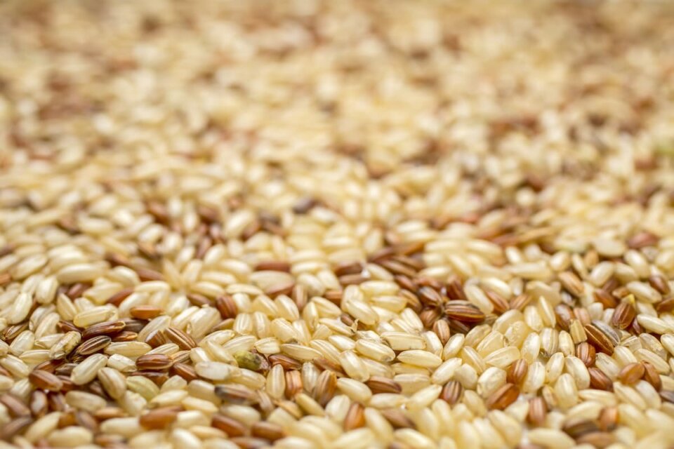 Arroz integral: ¿Tiene contraindicaciones? Descubre todo lo que necesitas saber