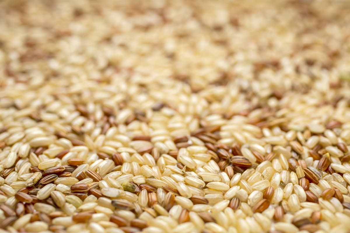 Arroz integral: ¿Tiene contraindicaciones? Descubre todo lo que necesitas saber