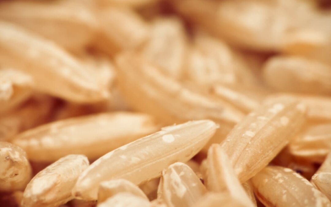 Beneficios del arroz integral para la diabetes