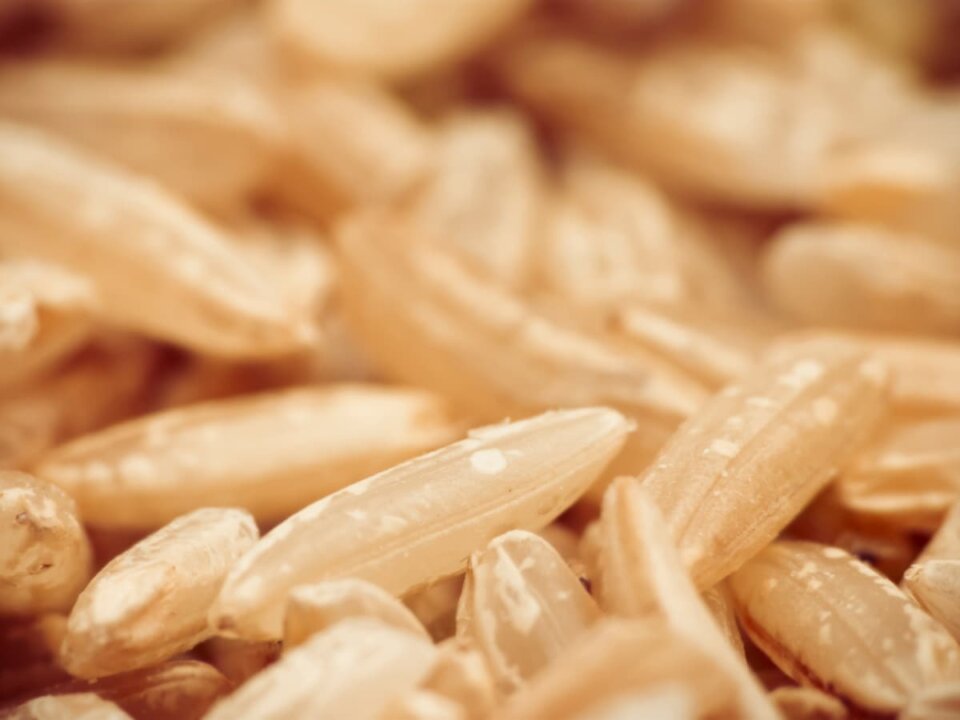 Beneficios del arroz integral para la diabetes