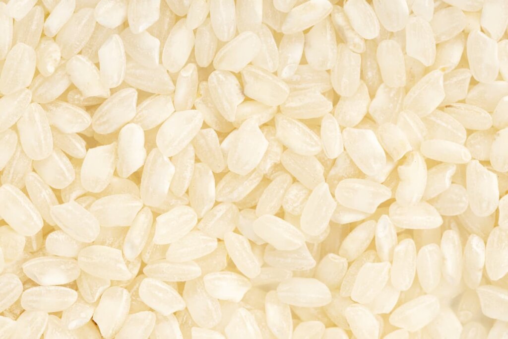 El Arroz: Naturaleza y Propiedades