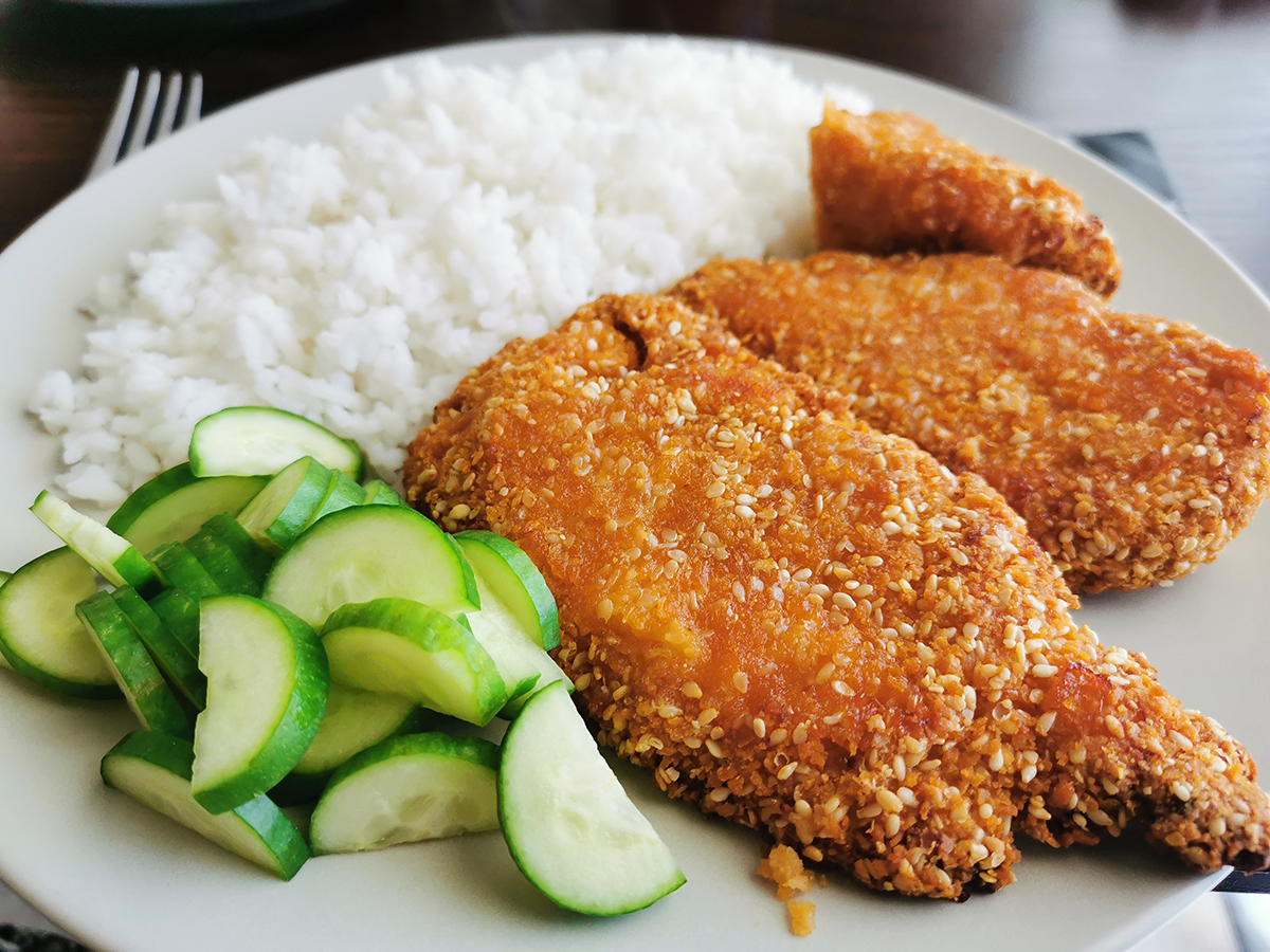 fried chicken with rice and cucumber 2022 11 09 16 25 27 utc copia