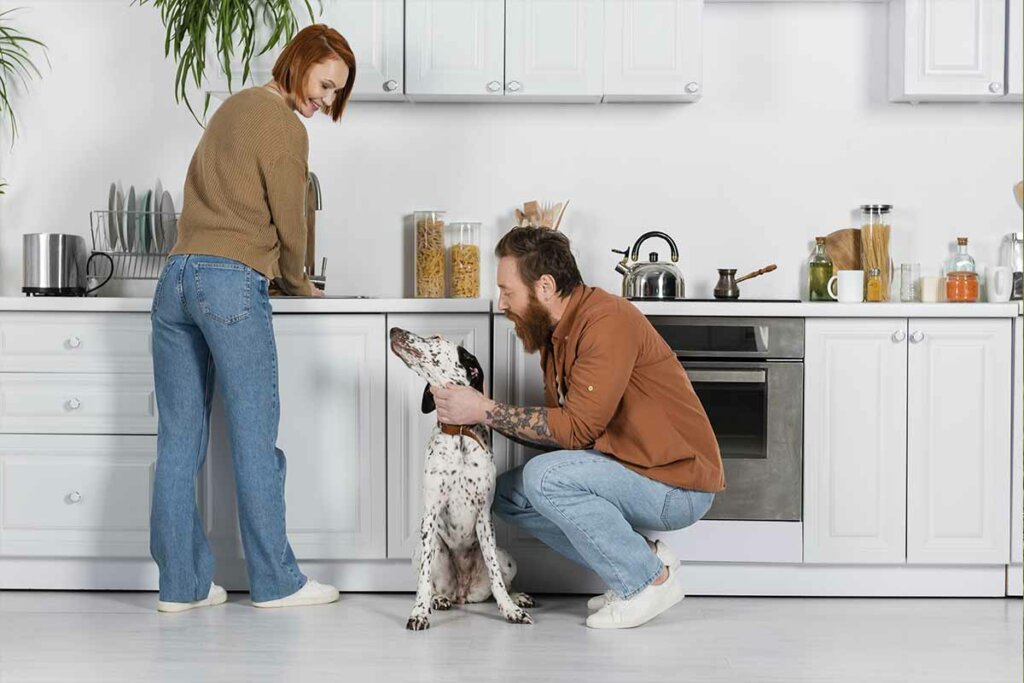 pueden comer arroz los perros