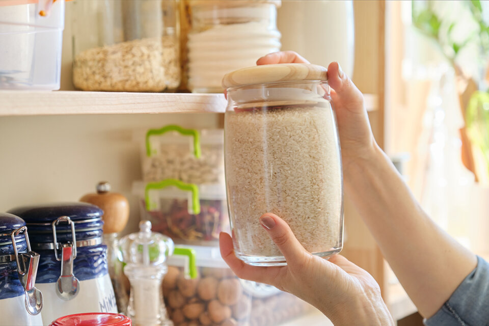 Bichos del arroz: todo lo que necesitas saber