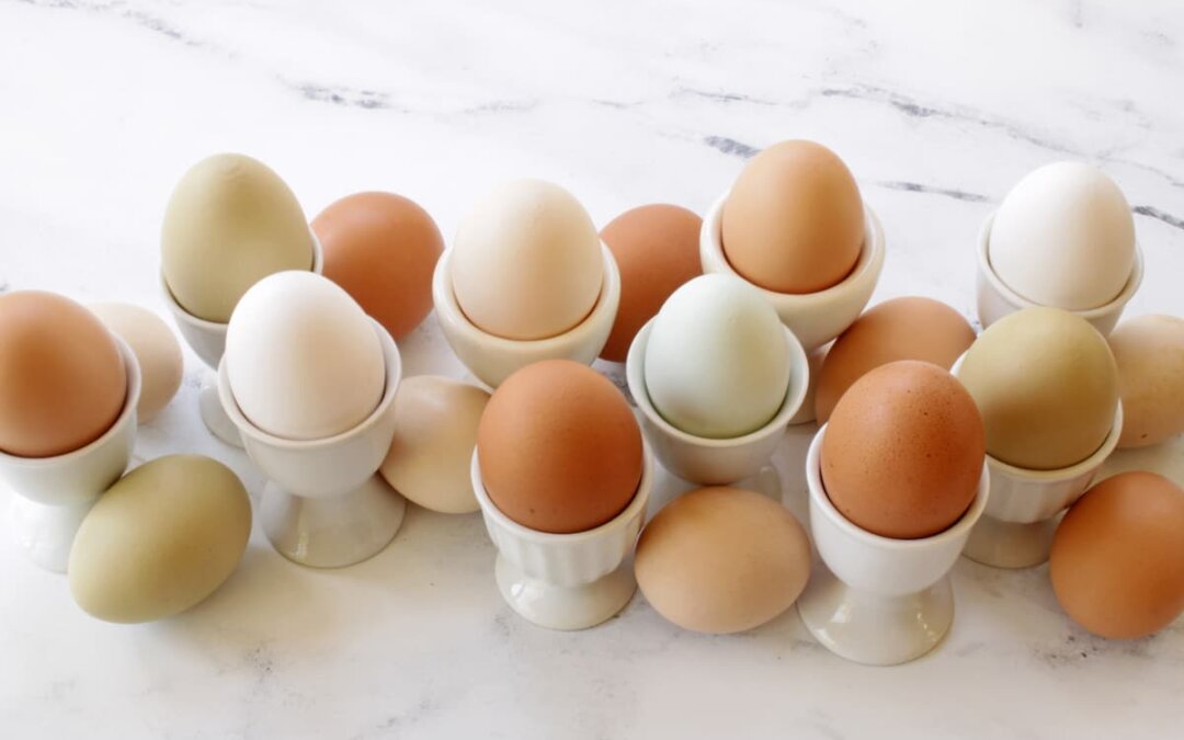 Cómo cocer un huevo en el microondas: guía completa y rápida