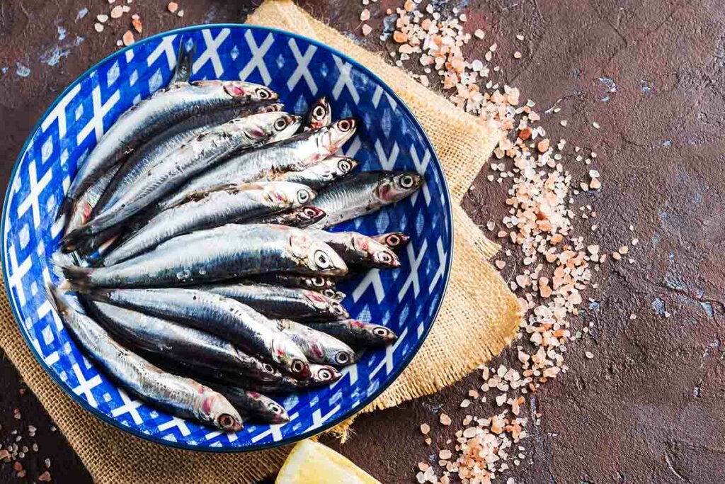 cuánto tiempo tienen que estar las anchoas en sal