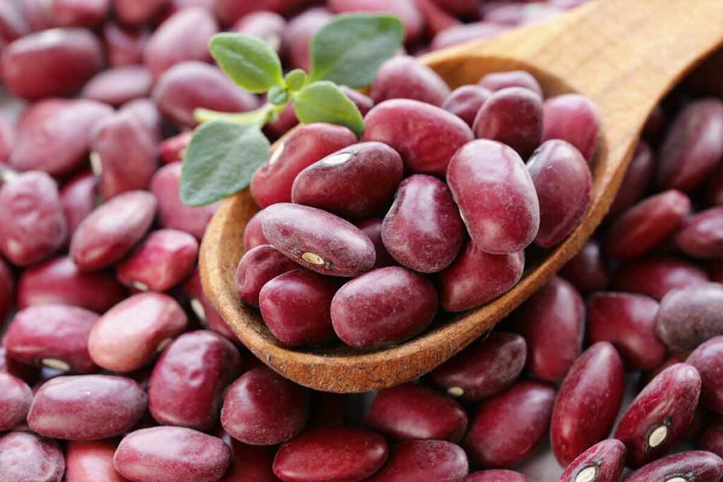 dieta de arroz y frijoles
