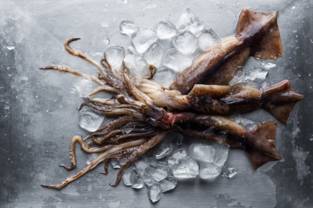 Recetas con calamares limpio