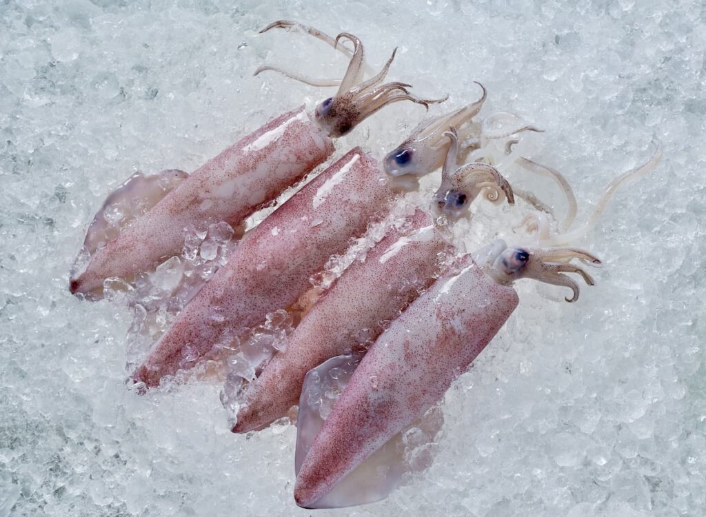 Paso a paso: limpieza de calamares