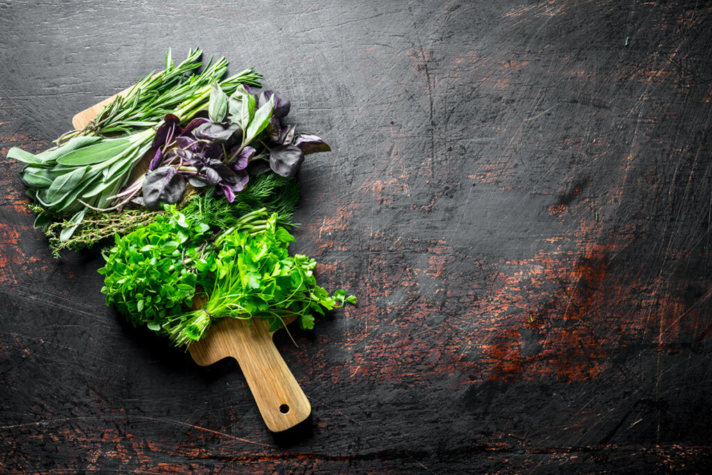tipos de oregano