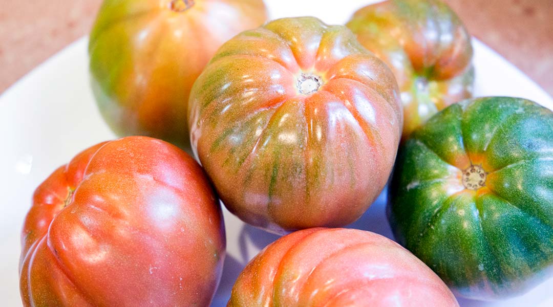 Tomate valenciano