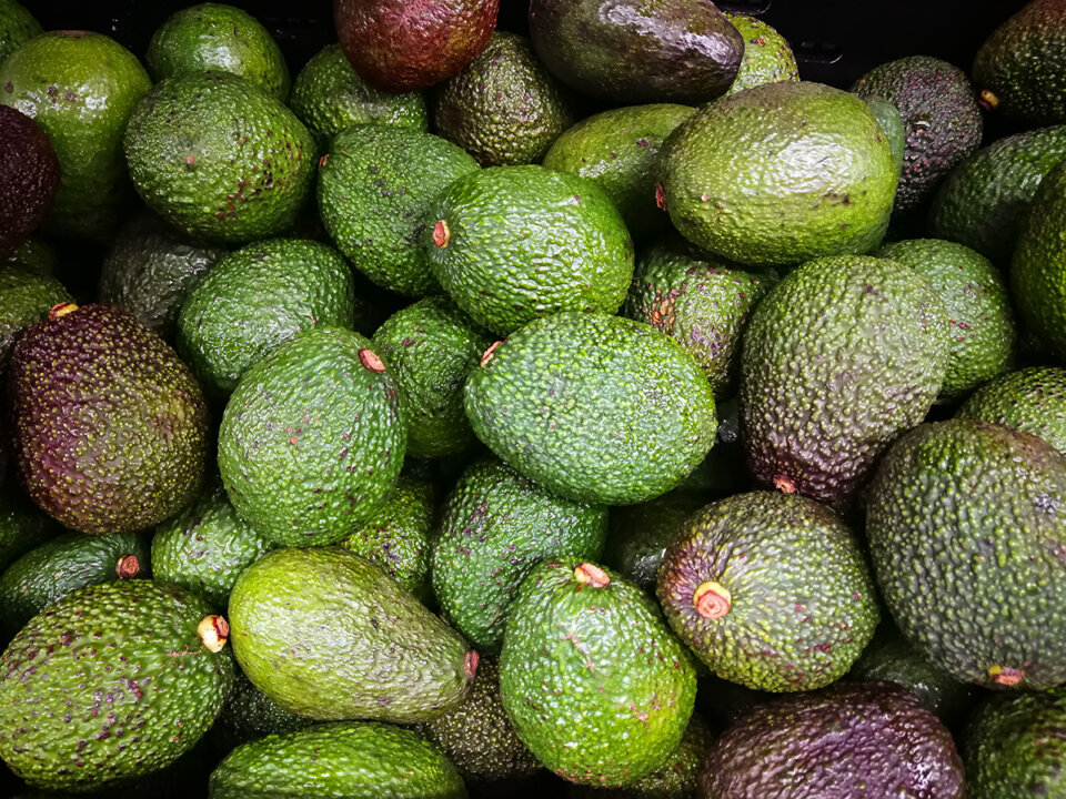 Cómo identificar un aguacate maduro