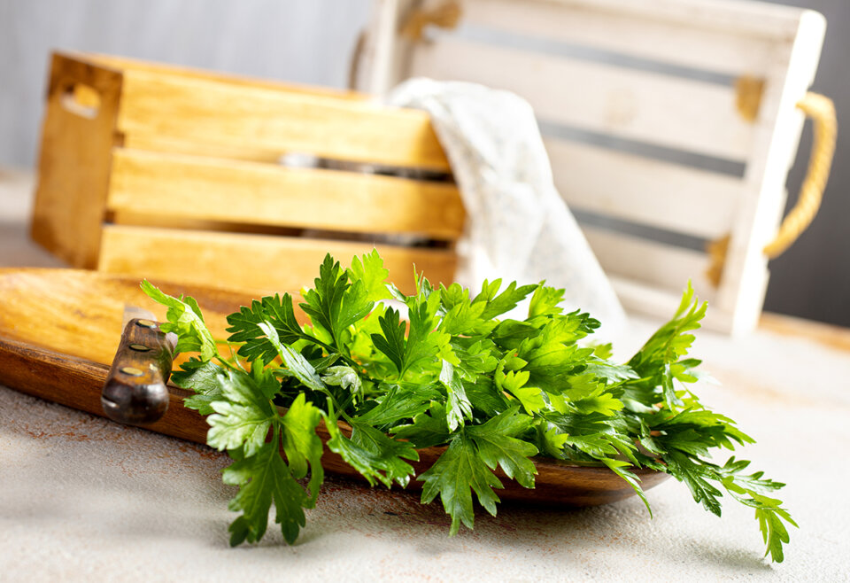Propiedades y beneficios del perejil para la salud