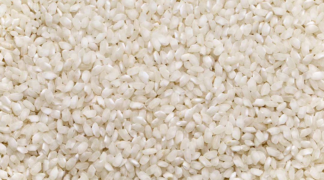 Diferencias con Otros Tipos de Arroz