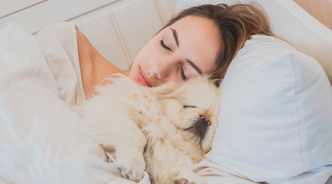Alimentos para dormir profundamente