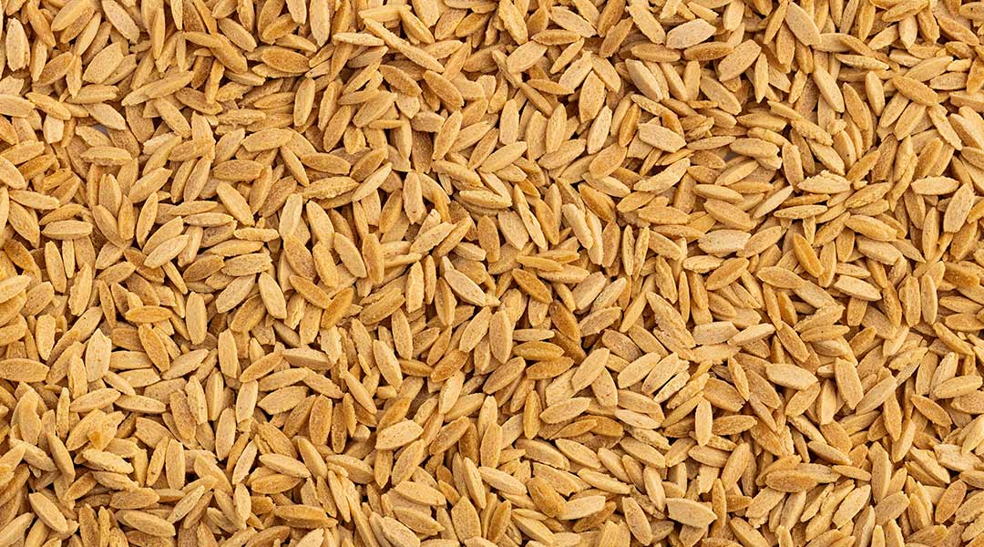 Beneficios del orzo para la digestión y la microbiota intestinal