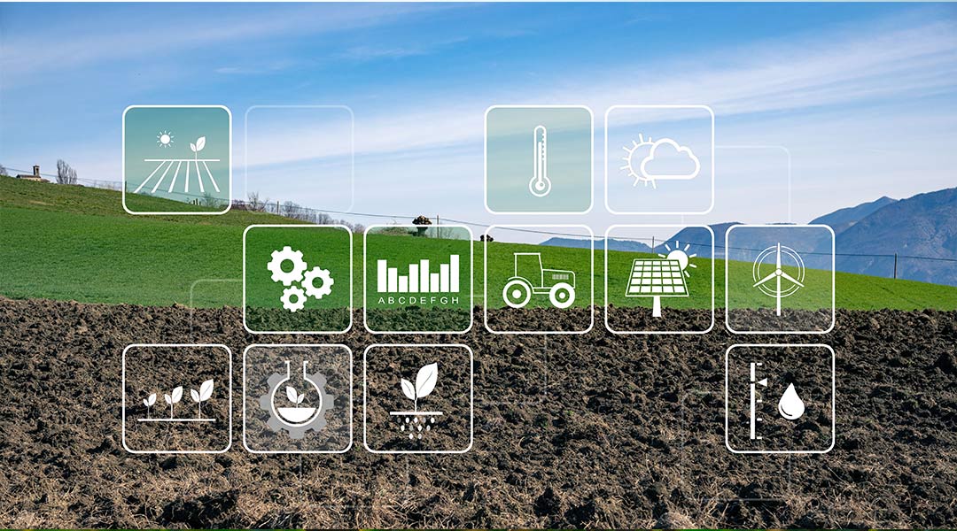 Innovaciones transformando cultivo y distribución de alimentos más consumidos