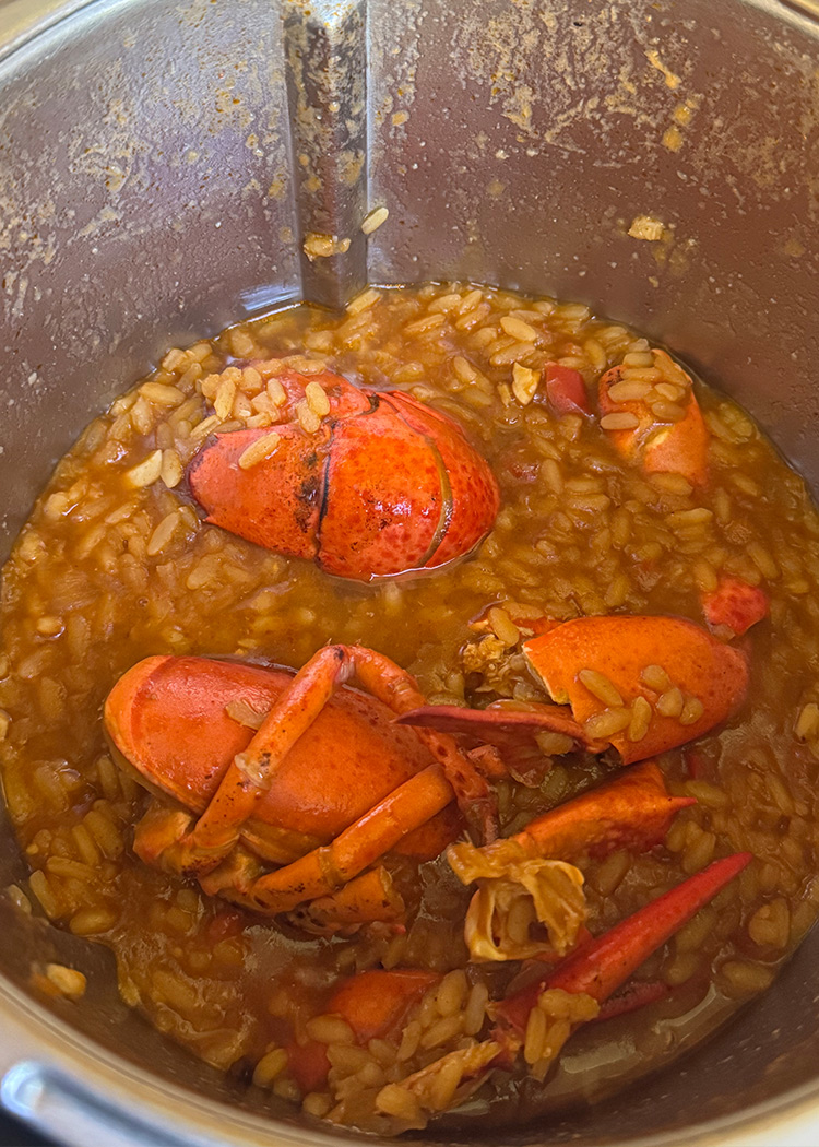 bogavante